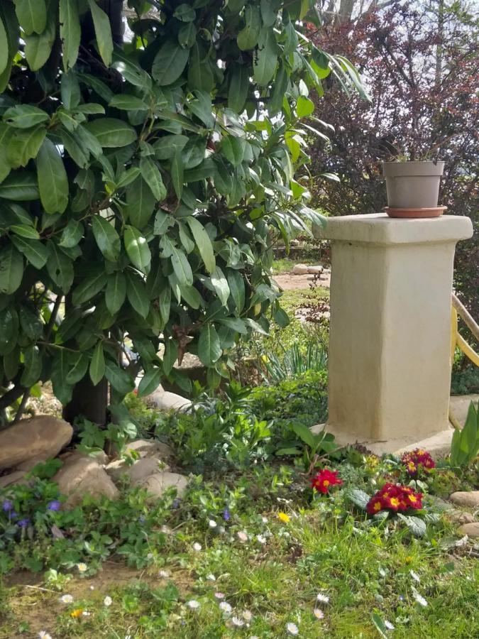 Villa Amai Lequio Tanaro Екстериор снимка